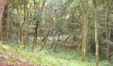 Terreno à venda, 1472 m² por R$ 415.000,00 - Granja Viana - Carapicuíba/SP