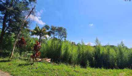 Terreno à venda, 20000 m² por R$ 3.000.000,00 - Tijuco Preto - Cotia/SP
