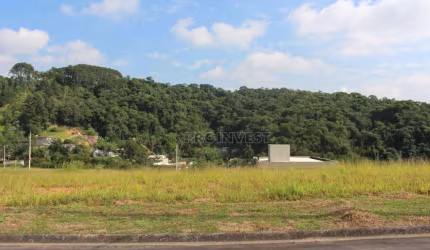 Terreno à venda, 388 m² por R$ 220.000,00 - Granja Viana - Cotia/SP
