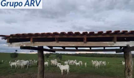 Fazenda à venda na Estrada Municipal, Centro, Bom Jesus do Araguaia por R$ 63.000.000