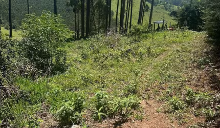 Terreno com 438 m² em Pedra Bela