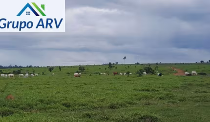 Fazenda com 23.512 HA em Rio Branco AC