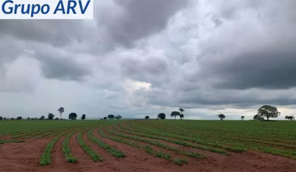 Fazenda com 1.000 alqueires em Ourinhos SP
