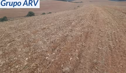 Fazenda com 58 alqueires em Itapira SP