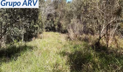 Terreno com 12.000 m² em Atibaia