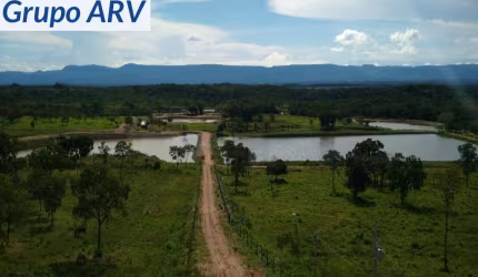Fazenda com 1.952 Hectares em Poconé MT