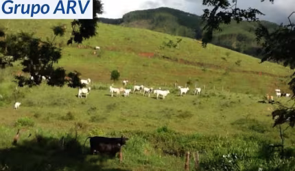 Fazenda com 2.565 ha em Santa Branca SP