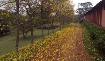 Haras com 18 alqueires em Piracaia