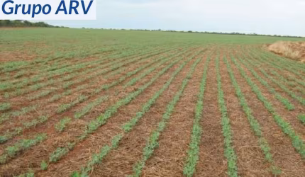 Fazenda com 1032 ha em Bonito MG