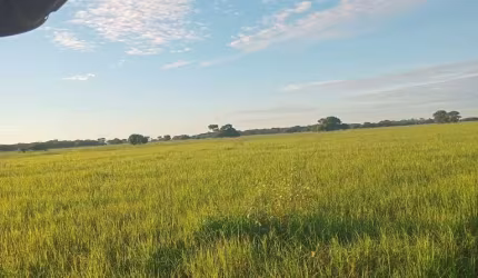 Fazenda à venda na Estrada Municipal, Centro, Corumbá