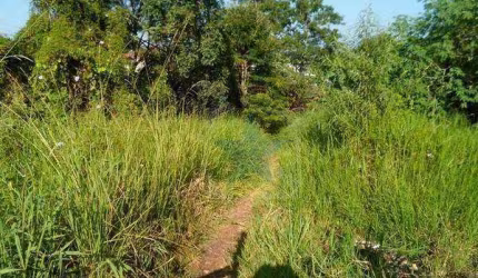 Terreno residencial à venda, Jardim Santa Bárbara, Atibaia.