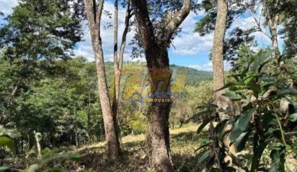 Terreno à venda, 28427 m² por R$ 1.420.000,00 - Vila Thais - Atibaia/SP