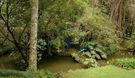 Terreno residencial à venda, Rio Abaixo, Mairiporã - TE0259.