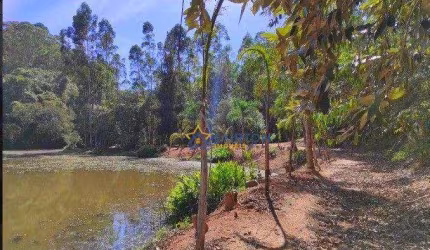 Vasta Propriedade Rural com Lagos - 12,5 Alqueires em Campo Largo, Jarinu/SP