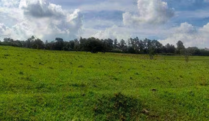 Sítio, Região Rural de Porto Feliz SP