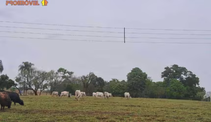Fazenda, Araçoiaba da Serra - SP
