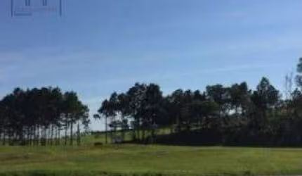 Área, 10900 m² - venda por R$ 3.900.000,00 ou aluguel por R$ 10.000,00/mês - Vila Artura - Sorocaba/SP