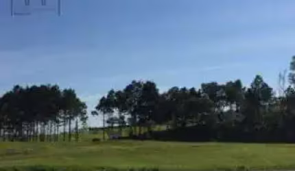 Área, 10900 m² - venda por R$ 3.900.000,00 ou aluguel por R$ 10.000,00/mês - Vila Artura - Sorocaba/SP