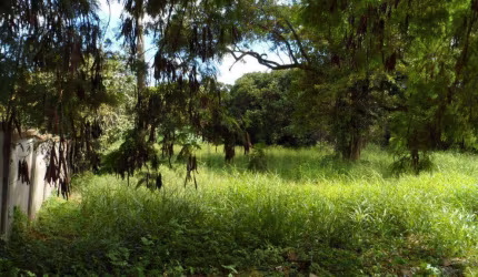 Área à venda, 4015 m² por R$ 640.000,00 - Jardim Tatuí - Tatuí/SP
