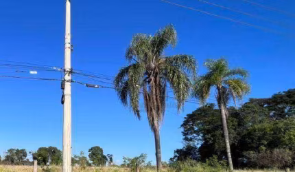 Terreno à venda, 8000 m² por R$ 3.136.000,00 - Vila Pedroso - Votorantim/SP