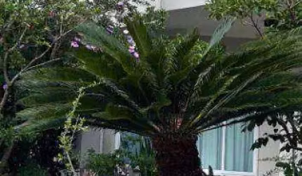 Casa à venda, 286 m² por R$ 1.600.000,00 - Condomínio Residencial Aldeia da Mata - Votorantim/SP