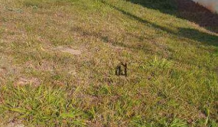Terreno à venda, 250 m² por R$ 383.000,00 - Condomínio Ibiti Reserva - Sorocaba/SP