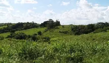 Área à venda, 120000 m² por R$ 2.000.000,00 - Caguaçu - Sorocaba/SP