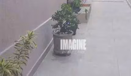Casa na Vila Formosa com 3 Dormitórios, 2 Vagas, 150m²