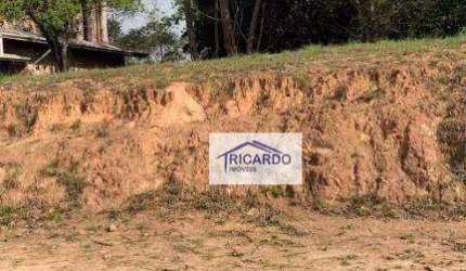Terreno à venda, 800 m² por R$ 420.000,00 - Ouro Fino - Santa Isabel/SP