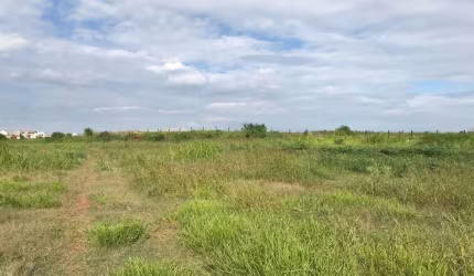 Área à venda, 47900 m² por R$ 9.600.000,00 - Santa Rosa - Piracicaba/SP