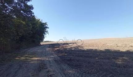 Fazenda com 1 dormitório à venda, 1210000 m² por R$ 9.000.000,00 - Paredão Vermelho - Piracicaba/SP