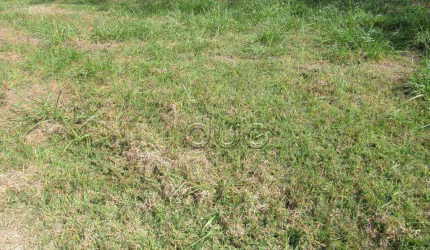Terreno à venda, 360 m² por R$ 350.000,00 - Loteamento Residencial Reserva Do Engenho - Piracicaba/SP