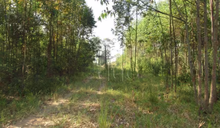 Área à venda, 45000 m² por R$ 2.250.000,00 - Santa Luzia - Charqueada/SP