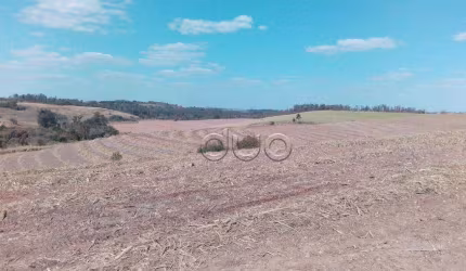 Área à venda, 4450 m² por R$ 9.200.000,00 - Santa Luzia - Charqueada/SP