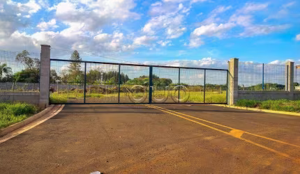 Área, 43.000 m² - venda por R$ 15.300.000 ou aluguel por R$ 83.705/mês - Água Seca - Piracicaba/SP