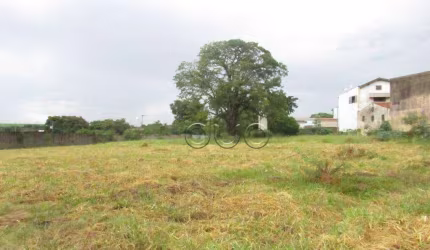Terreno para alugar, 5000 m² por R$ 6.000,00/mês - Nossa Senhora de Fátima - Piracicaba/SP