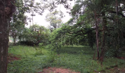 Área à venda, 15300 m² por R$ 5.600.000,00 - Jardim São Mateus - Piracicaba/SP