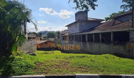 Cond Pq Paulistano (Km 30 R. Tavares) - Lote 360,00 m², limpo, declive