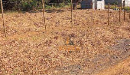 Terrenos em Cotia