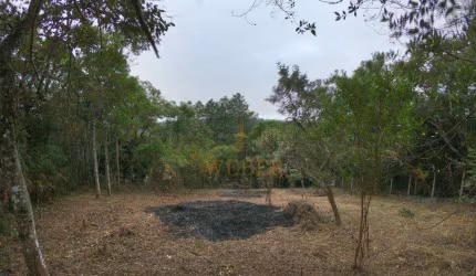 Terreno 1286 mt - Caucaia