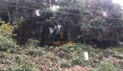 Terreno à venda, 500 m² por R$ 275.000,00 - Jardim Colibri - Cotia/SP
