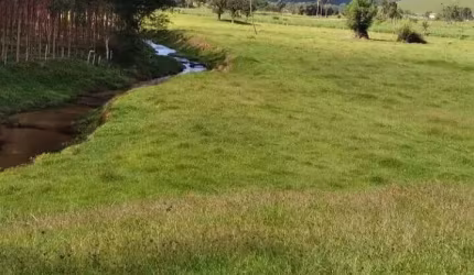 Área rural para venda com água corrente.