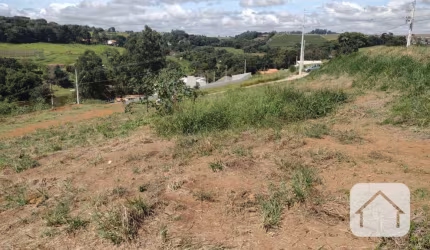 um bairro com muito verde