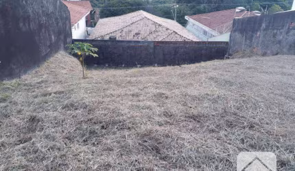 Terreno à venda, 308 m² por R$ 520.000,00 - Cidade São Francisco - São Paulo/SP
