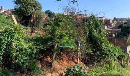 Terreno à venda, 250 m² por R$ 40.000 - Rosário - Sabará/MG