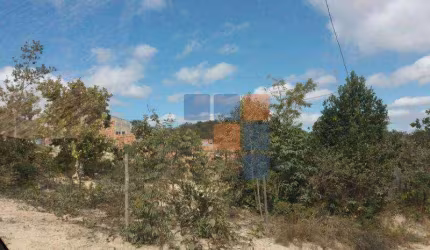 Terreno à venda, 6200 m² por R$ 130.000,00 - Ravena - Sabará/MG