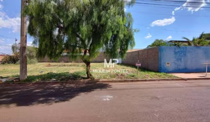 Terreno à venda, 232 m² por R$ 115.000,00 - Jardim Morada Nova - Jaboticabal/SP