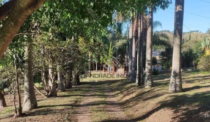 Sítio com 6 dormitórios br 459 sentido Congonhal  à venda, 21945 m² por R$ 1.600.000 - Canta Galo - Pouso Alegre/MG