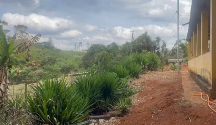 Sítio com 2 dormitórios à venda, 22000 m² por R$ 450.000 - Algodão - Pouso Alegre/MG
