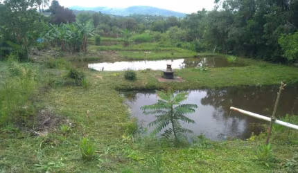 Chácara com 3 dormitórios à venda, 8000 m² por R$ 600.000,00 - Imbúia - Pouso Alegre/MG